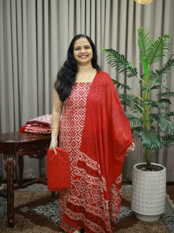 ASSORTED COLLECTIONS OF SALWAR(RDCH-CN-2033) - Image 2